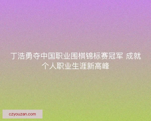 丁浩勇夺中国职业围棋锦标赛冠军 成就个人职业生涯新高峰