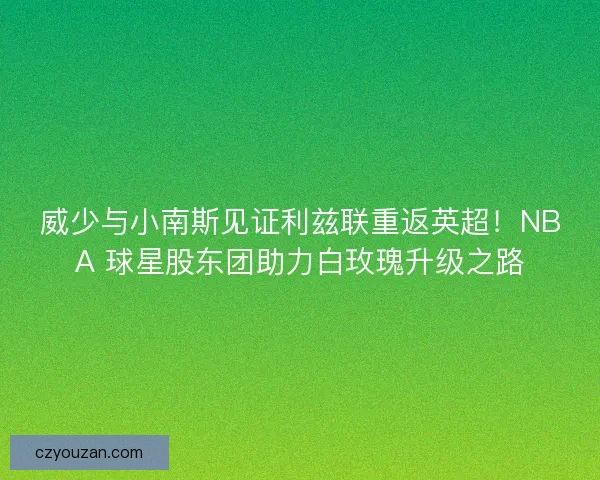 威少与小南斯见证利兹联重返英超！NBA 球星股东团助力白玫瑰升级之路