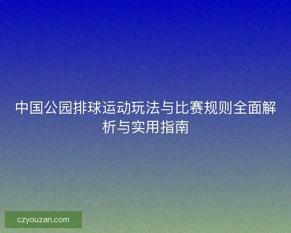 中国公园排球运动玩法与比赛规则全面解析与实用指南