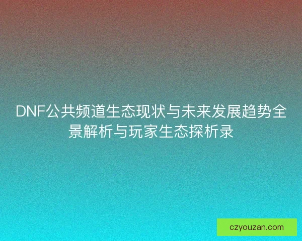DNF公共频道生态现状与未来发展趋势全景解析与玩家生态探析录