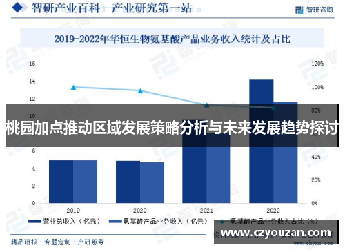 桃园加点推动区域发展策略分析与未来发展趋势探讨