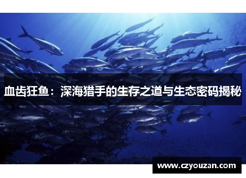 血齿狂鱼：深海猎手的生存之道与生态密码揭秘